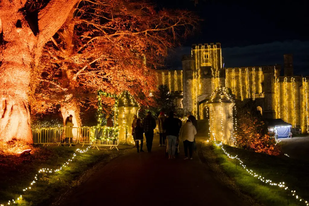 Where to Meet Santa in Exeter & Teignbridge '24! 4