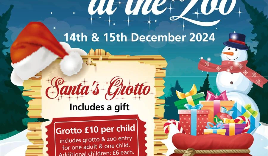 Where to Meet Santa in Exeter & Teignbridge '24! 7